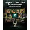 imageTrue 4K 4G LTE Cellular Hunting Camera OutdoorBattery Pack64G SD Card 02s Trigger Speed Game or Trail Camera with GPS NonGlow IR Night Vision SIM Card Motion Capture Talon Pro Kit